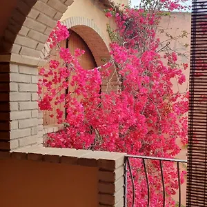  Casa vacanze P.piano - Centro Paese